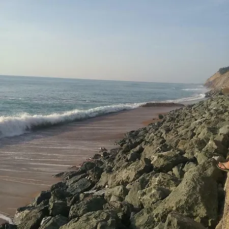 Agreable T2 A Bidart, Centre Bourg & Plages A Pied 公寓 比达尔